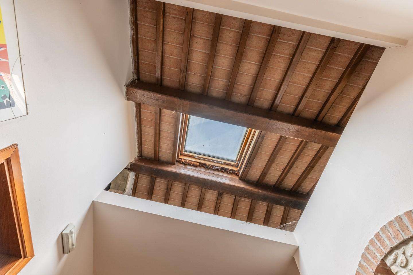  - foto 11
