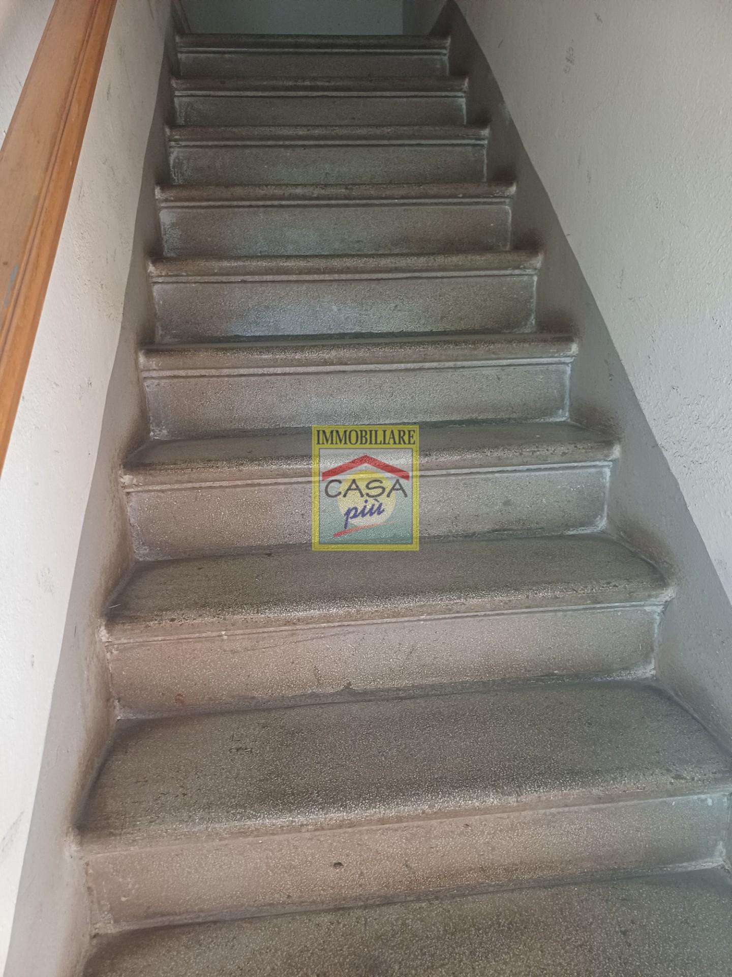  - foto 29