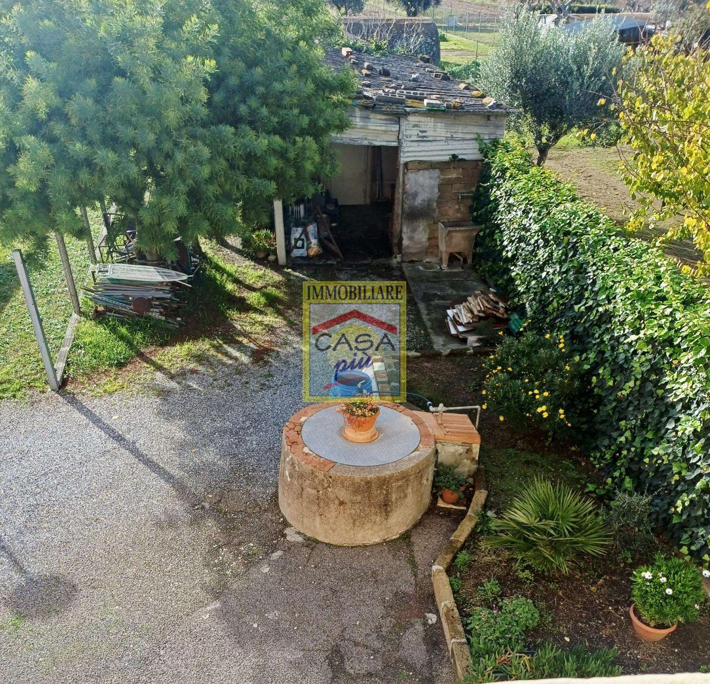  - foto 4