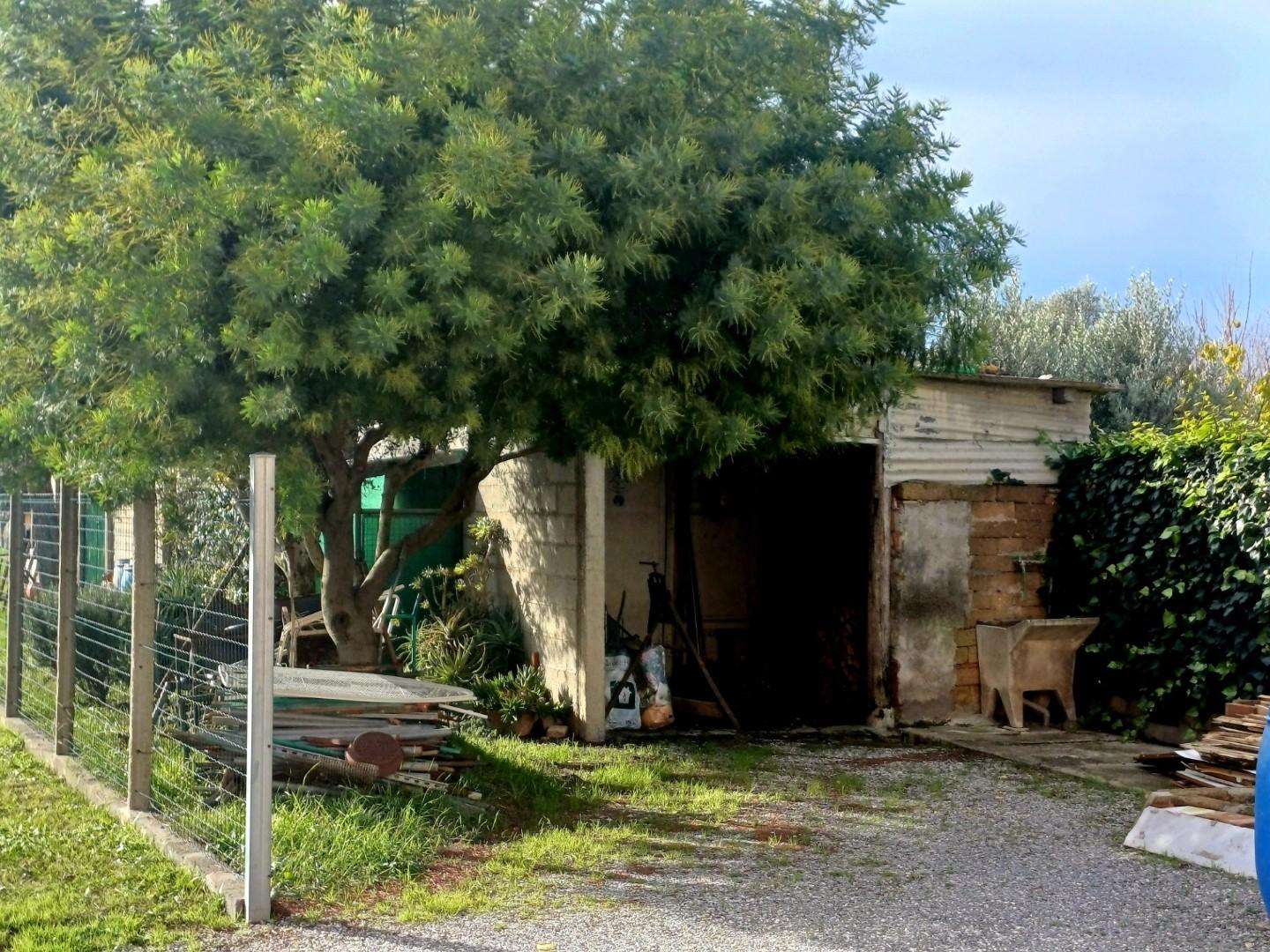  - foto 3