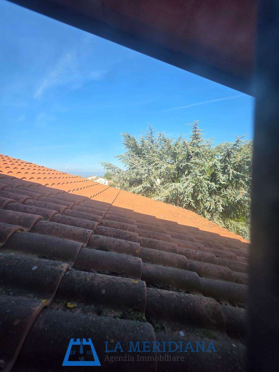  - foto 43