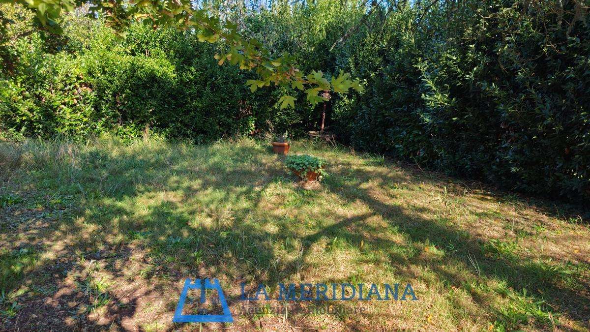  - foto 58