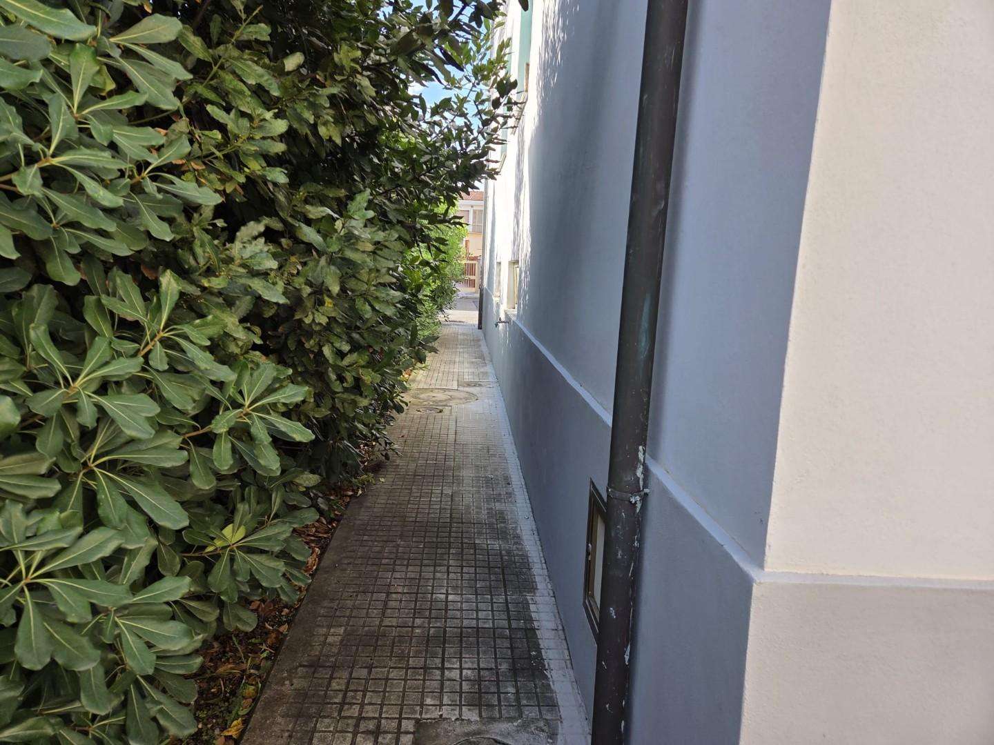  - foto 12
