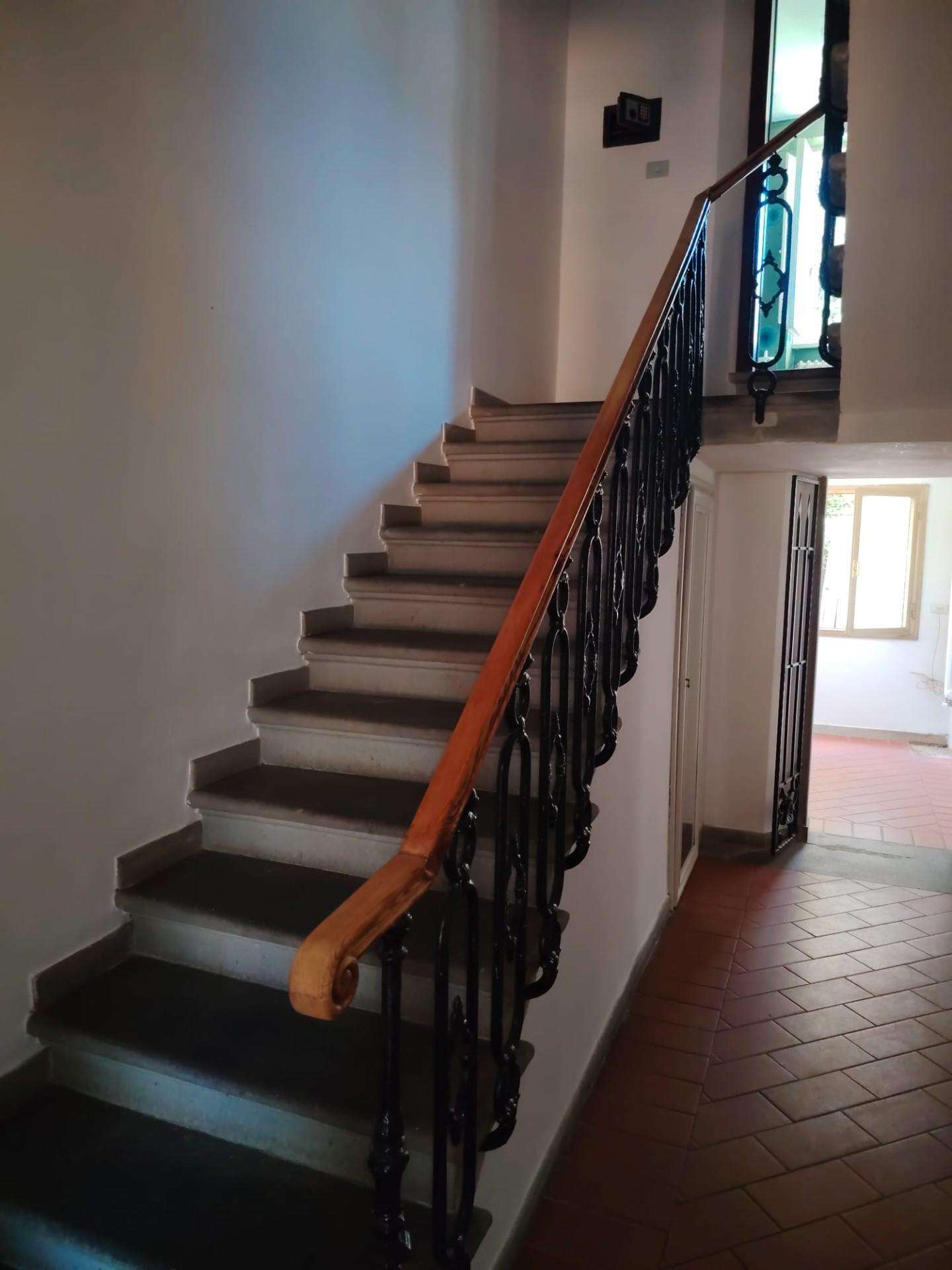  - foto 11