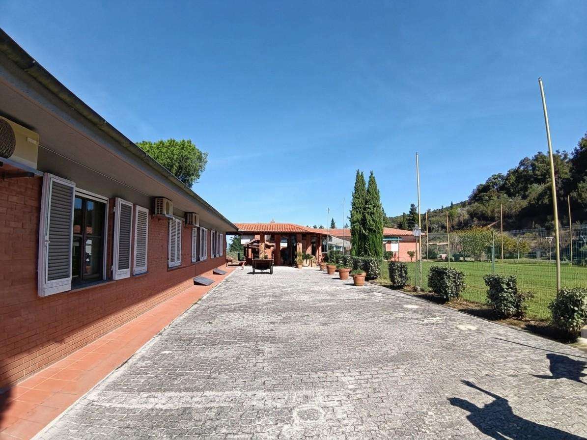  - foto 13
