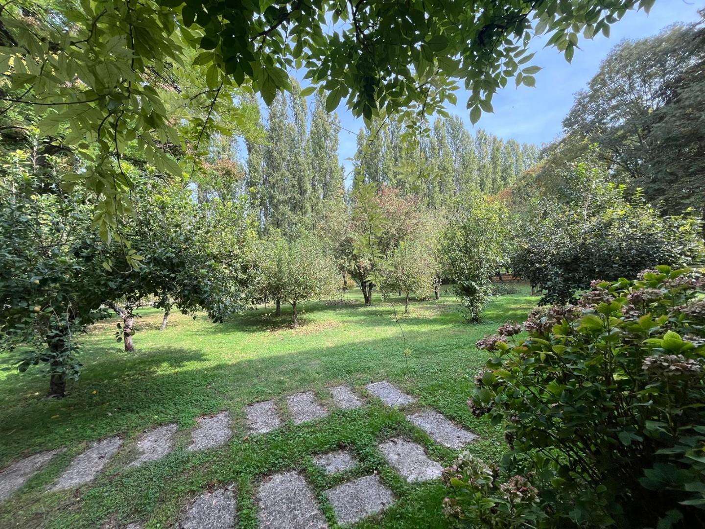  - foto 15