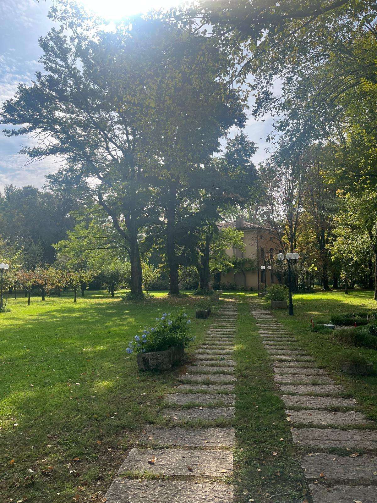  - foto 6