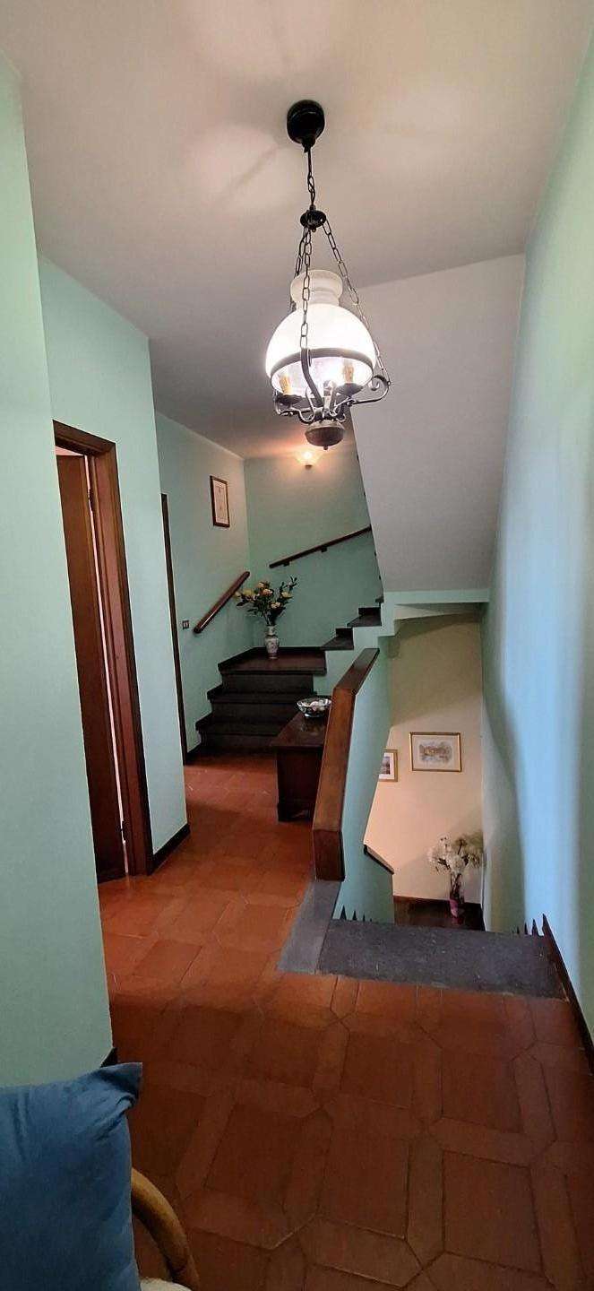  - foto 19