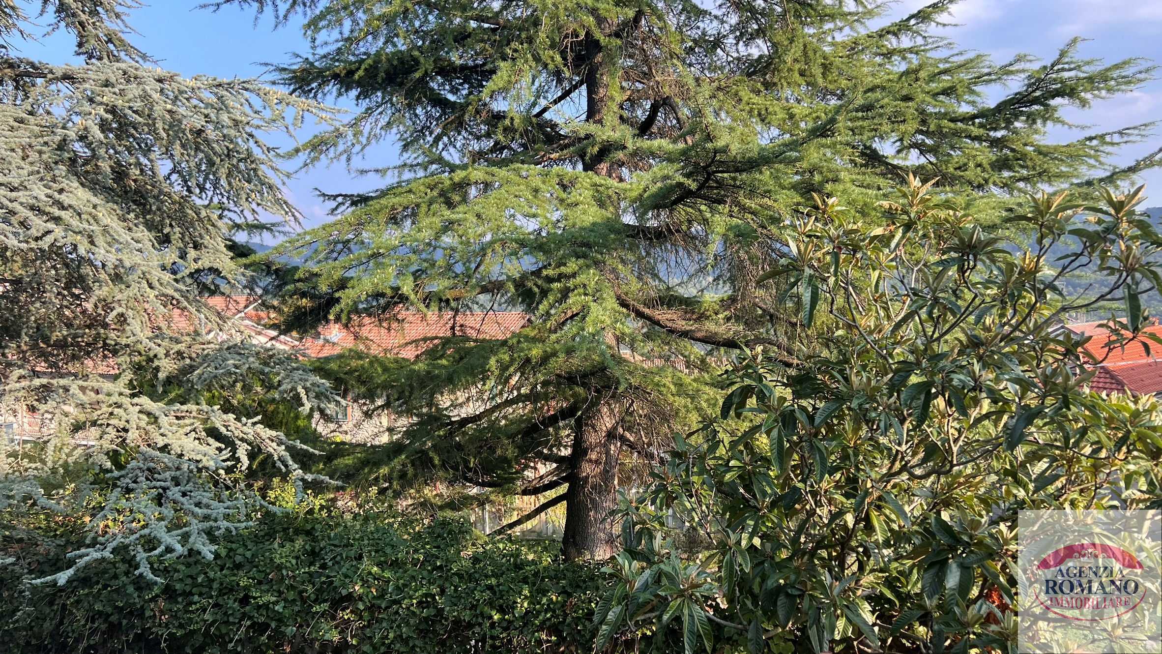  - foto 15