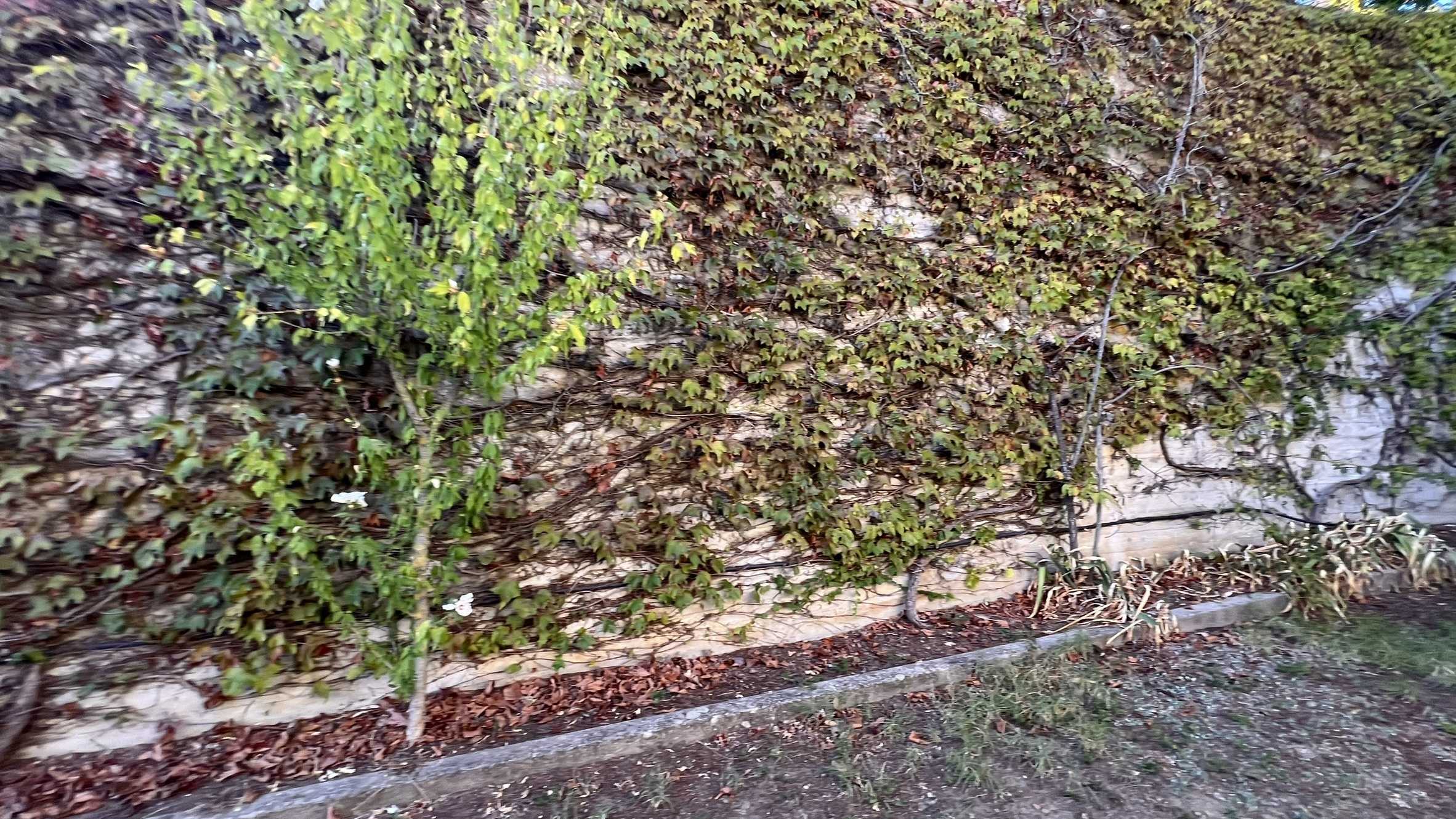  - foto 21