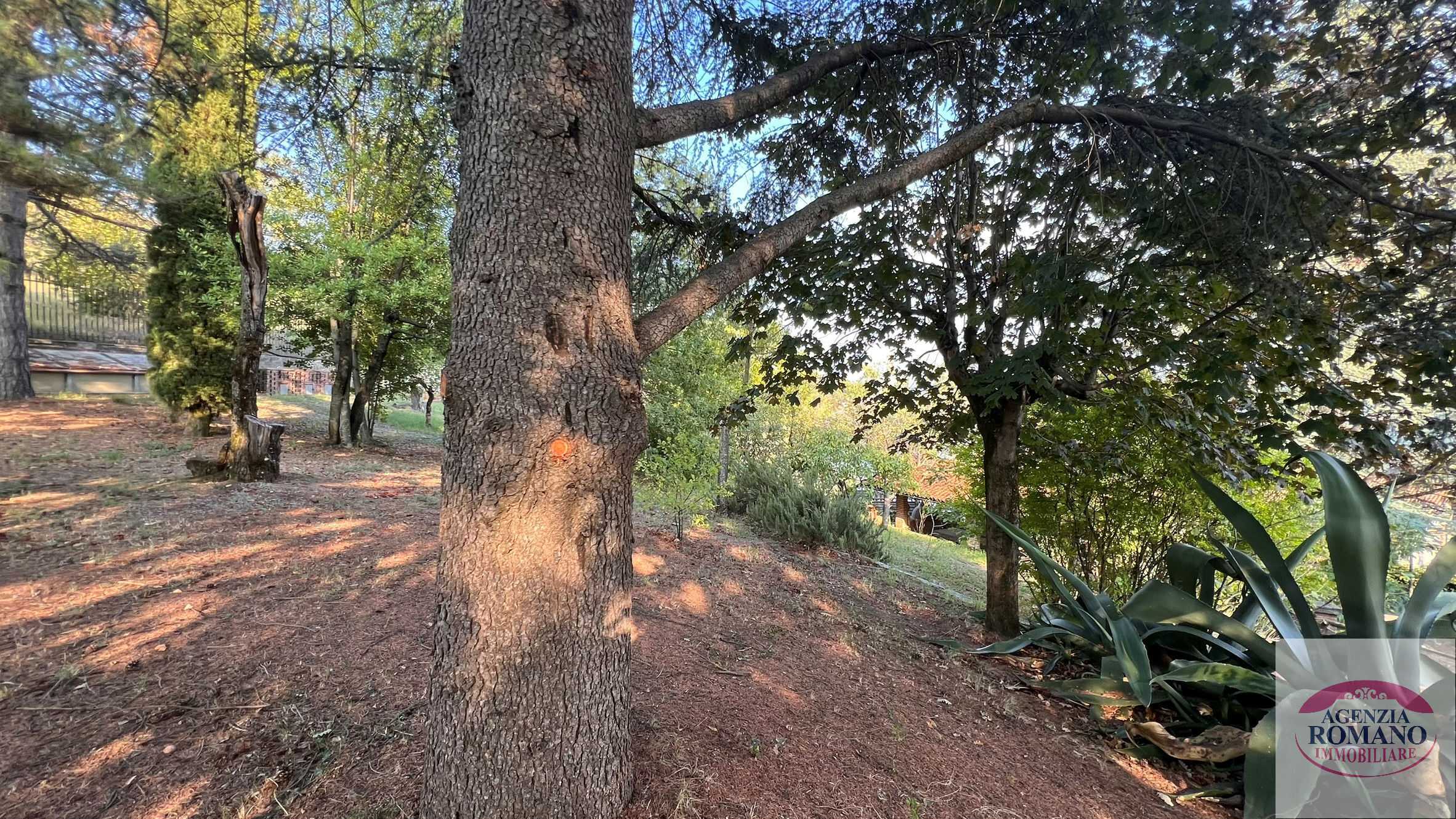  - foto 33