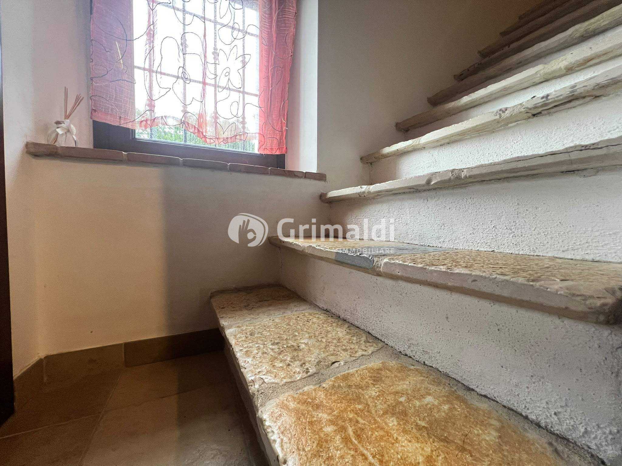  - foto 21