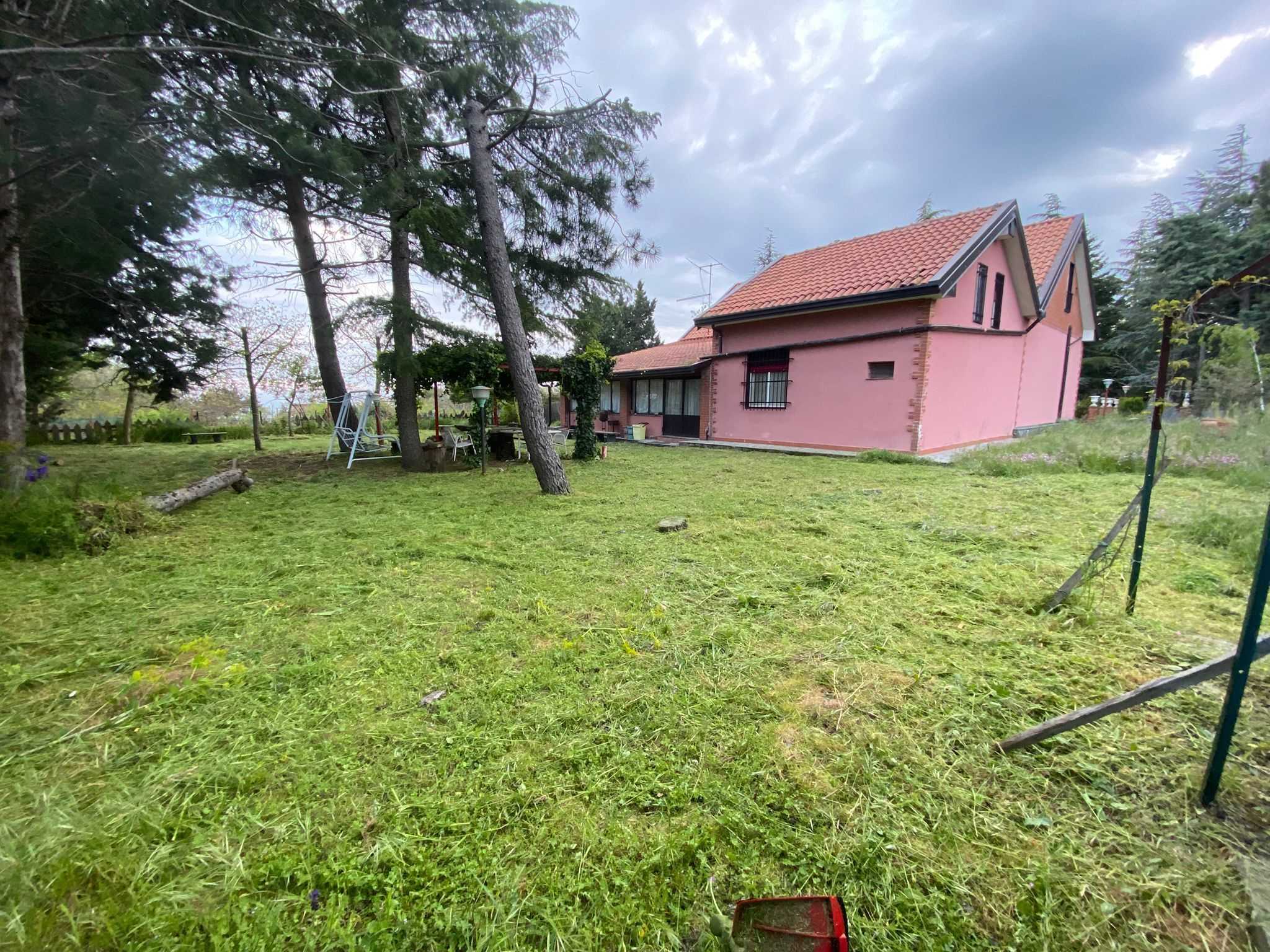  - foto 12