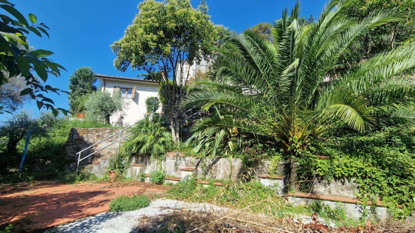 Casale Ficola, Carrara