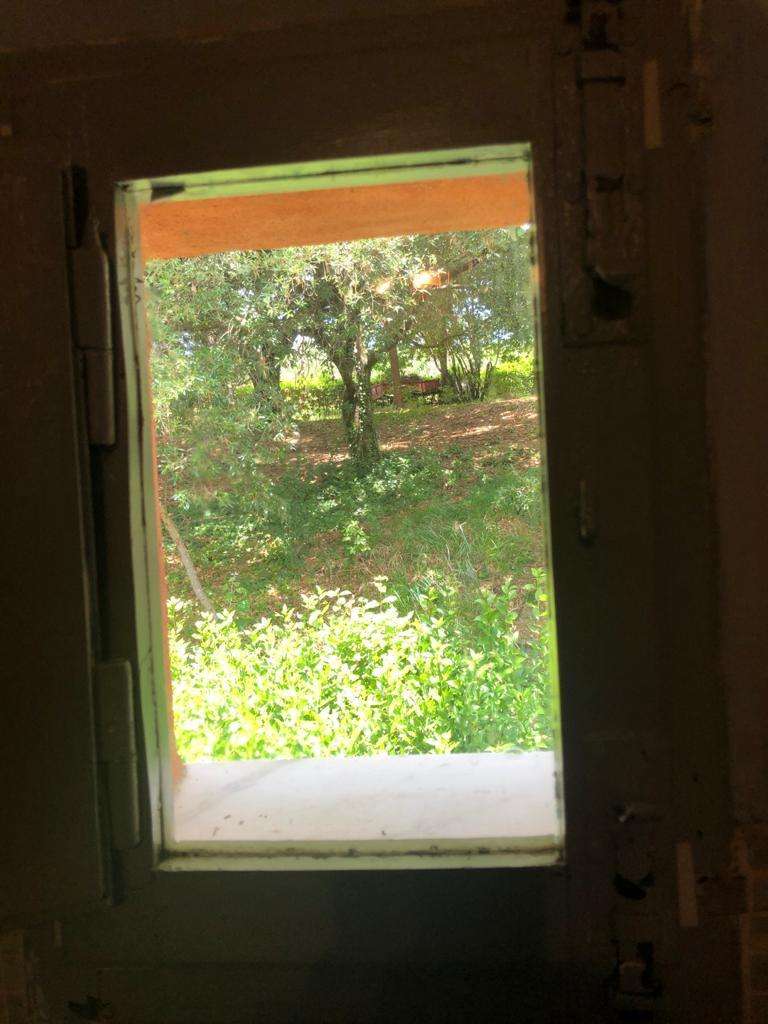  - foto 33