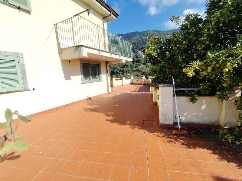  - foto 11