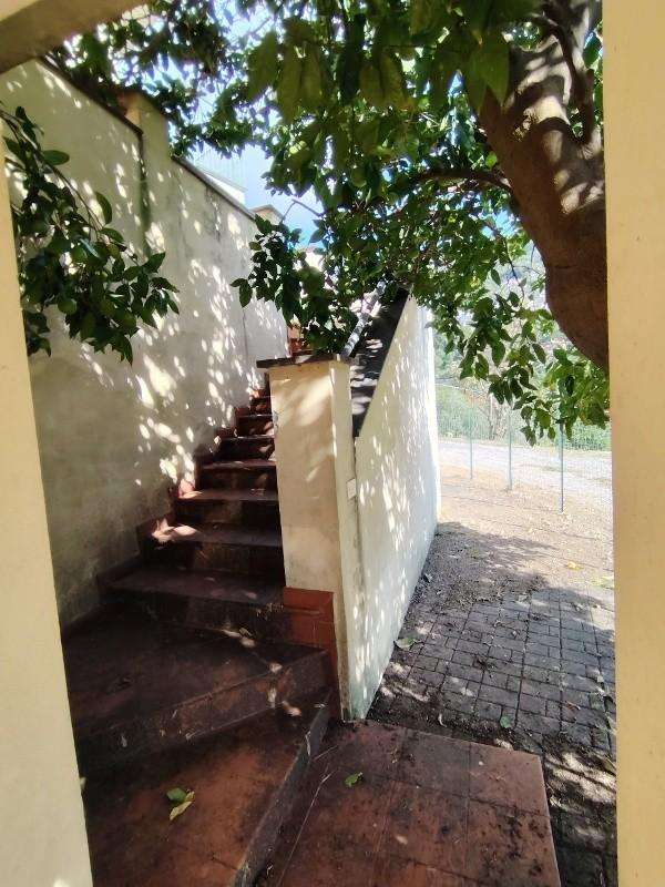  - foto 21