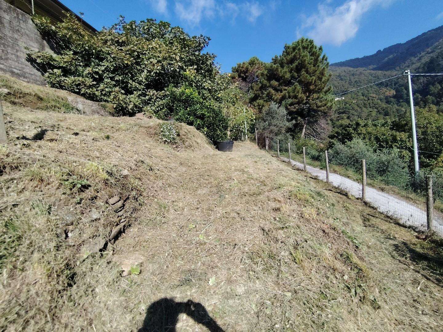  - foto 68