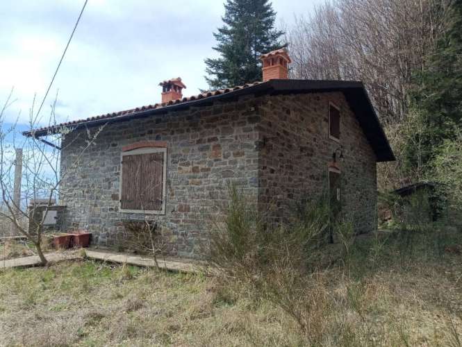  - foto 2