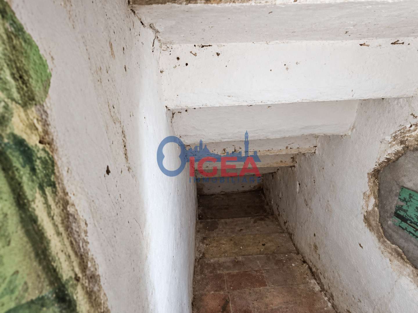  - foto 8