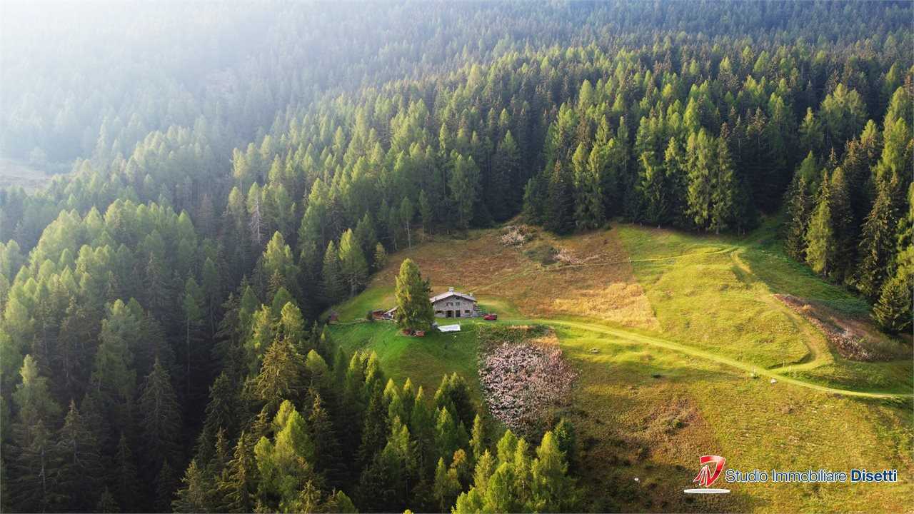  - foto 9