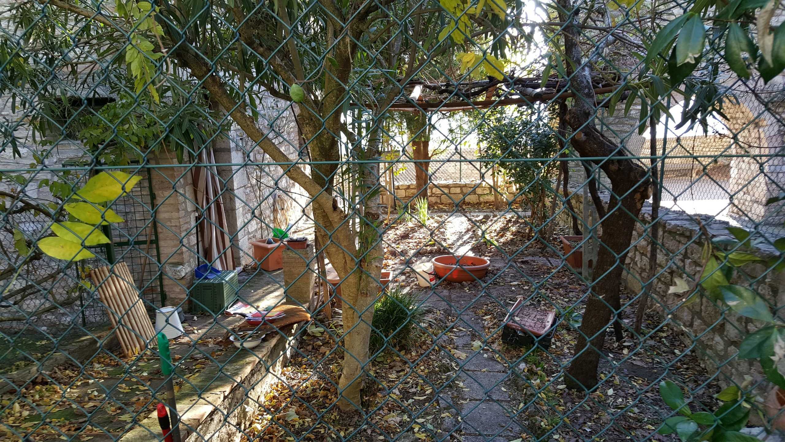  - foto 13
