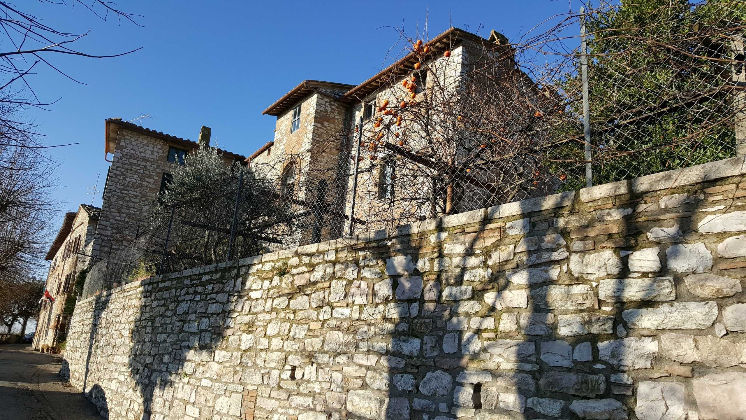  - foto 16