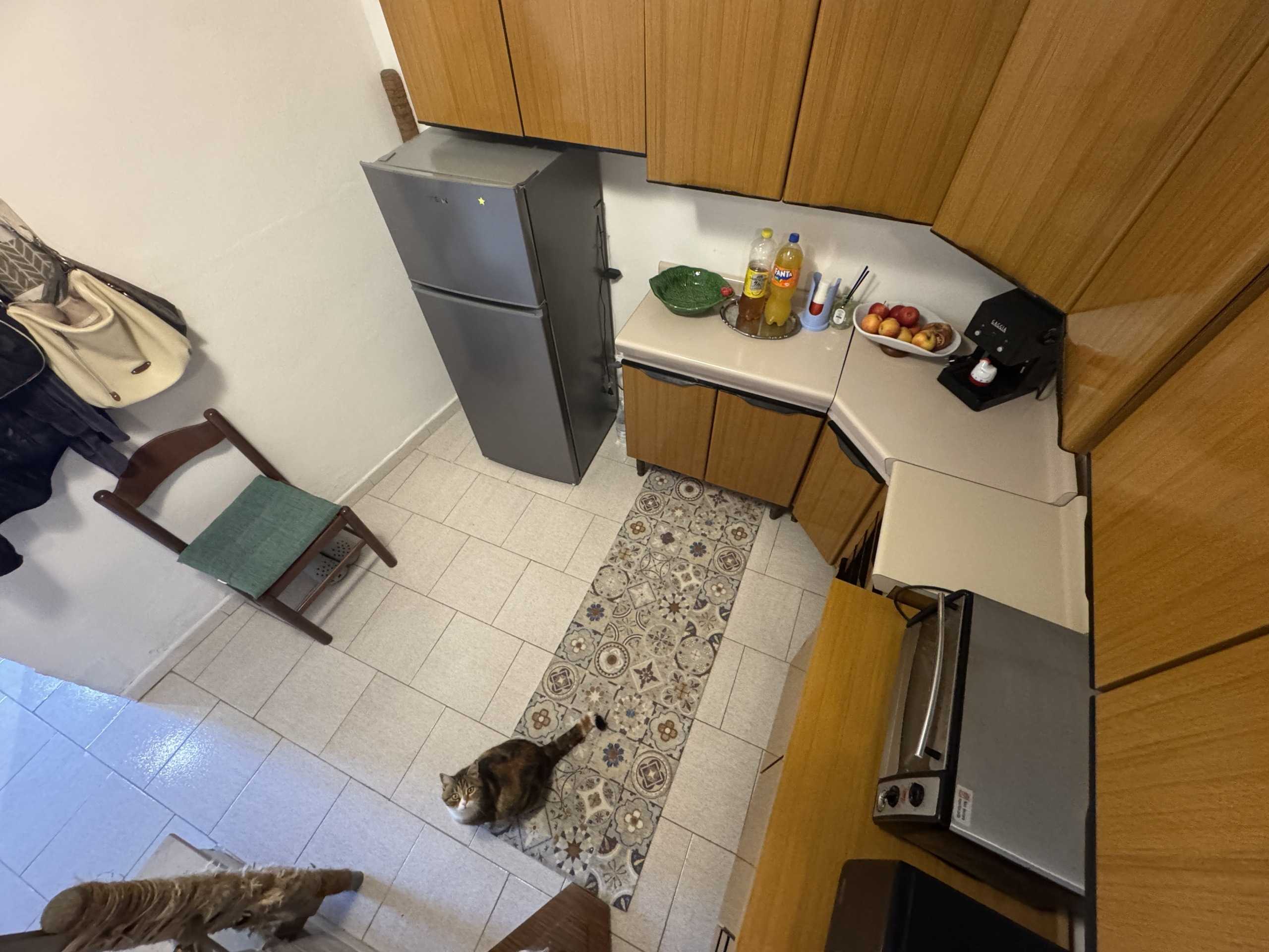  - foto 37