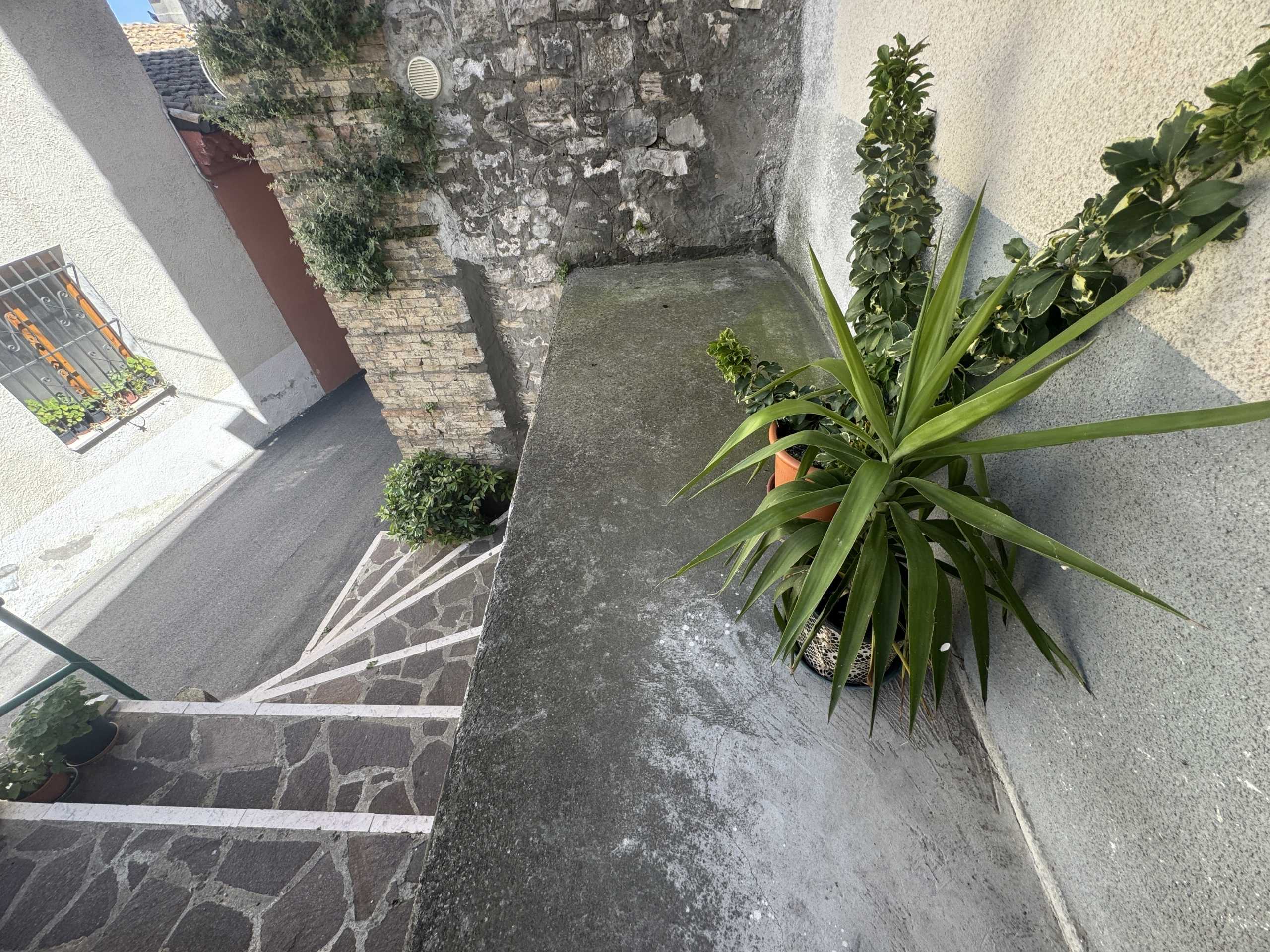  - foto 67
