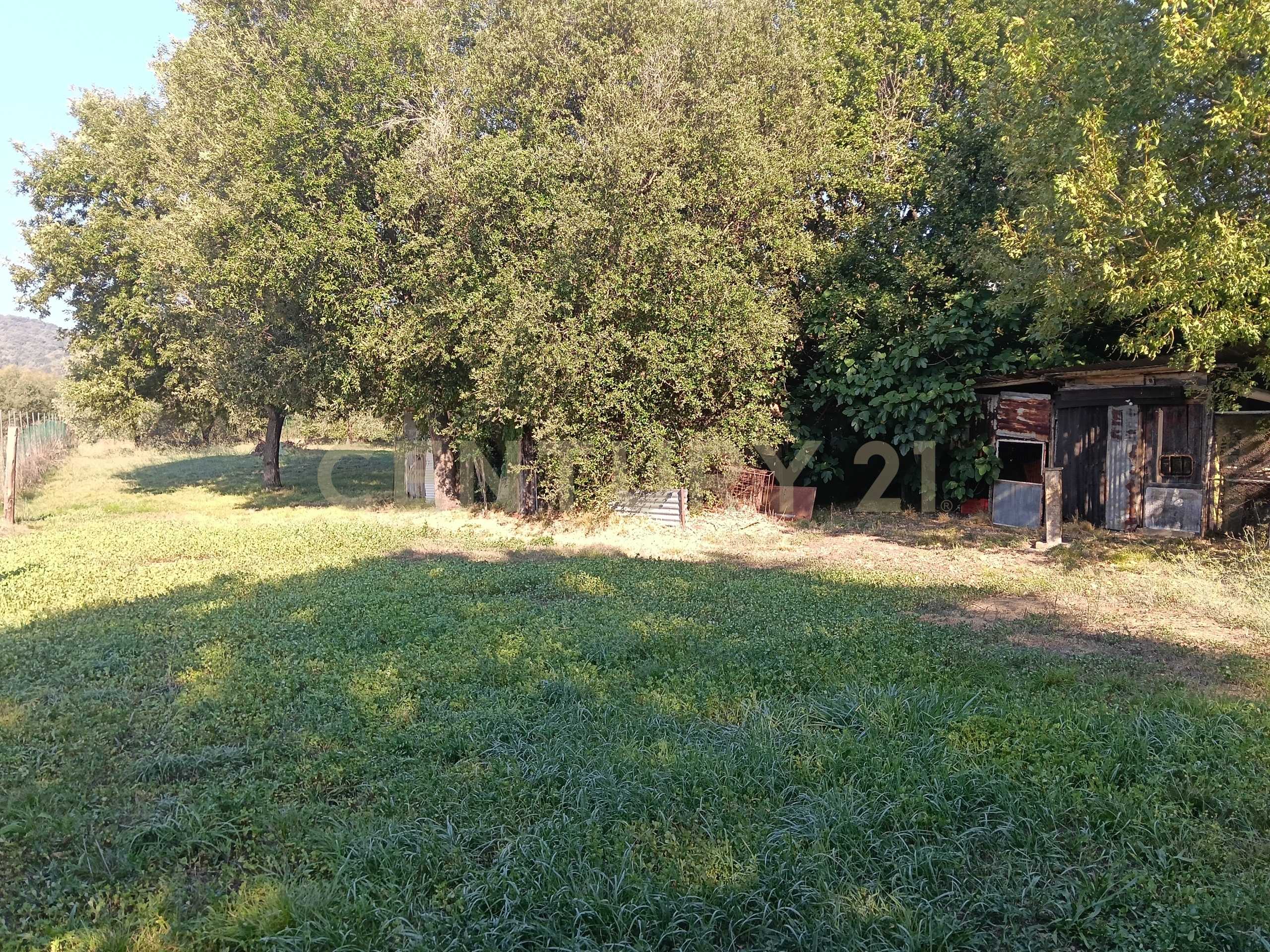  - foto 16