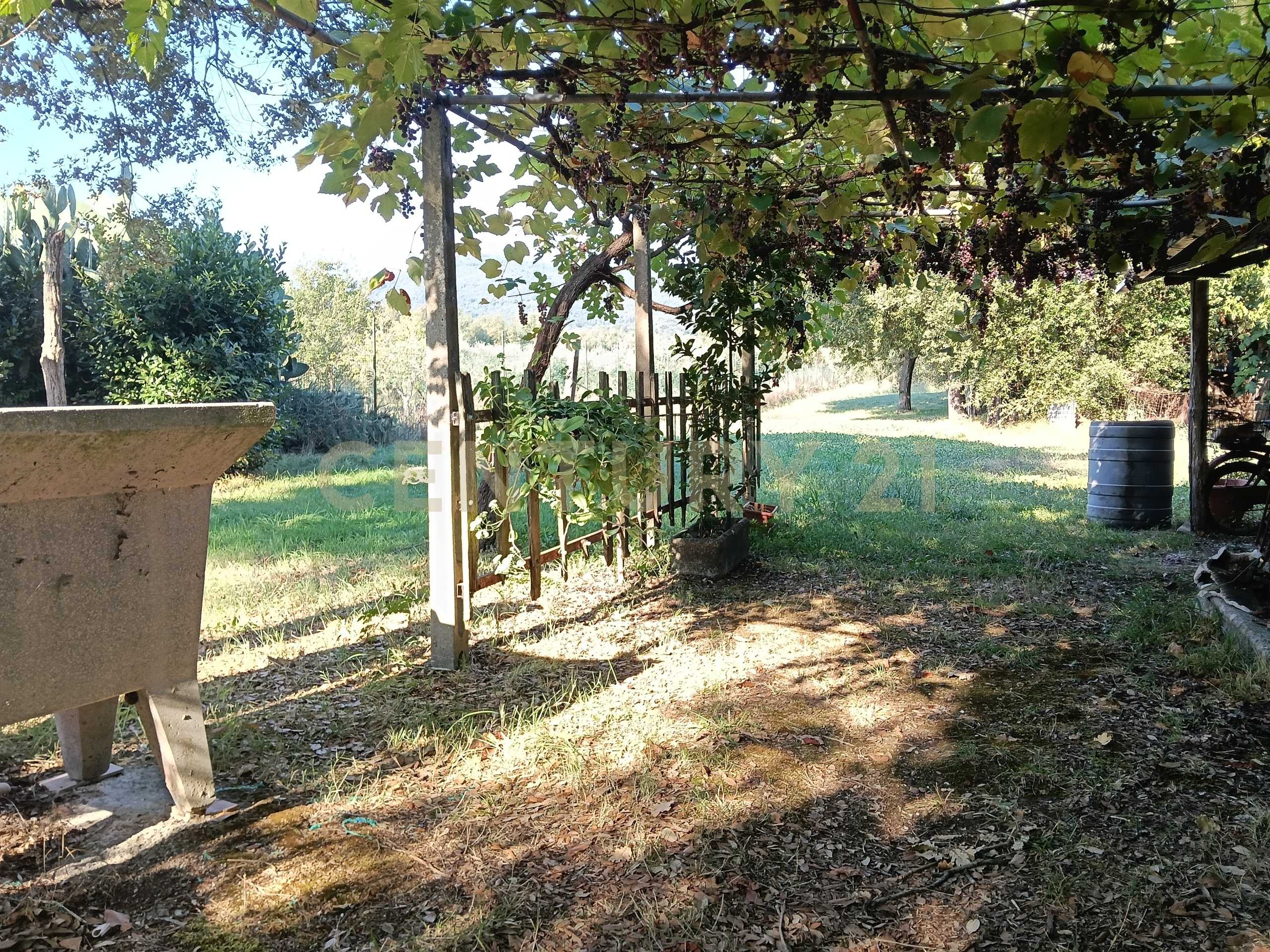  - foto 18
