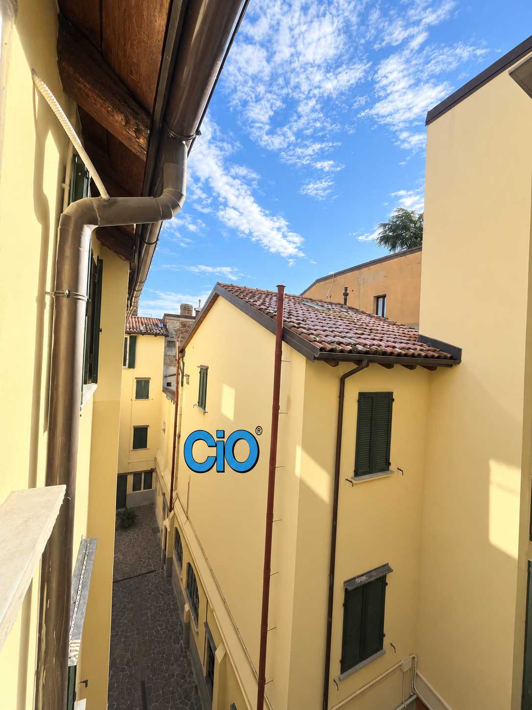  - foto 11