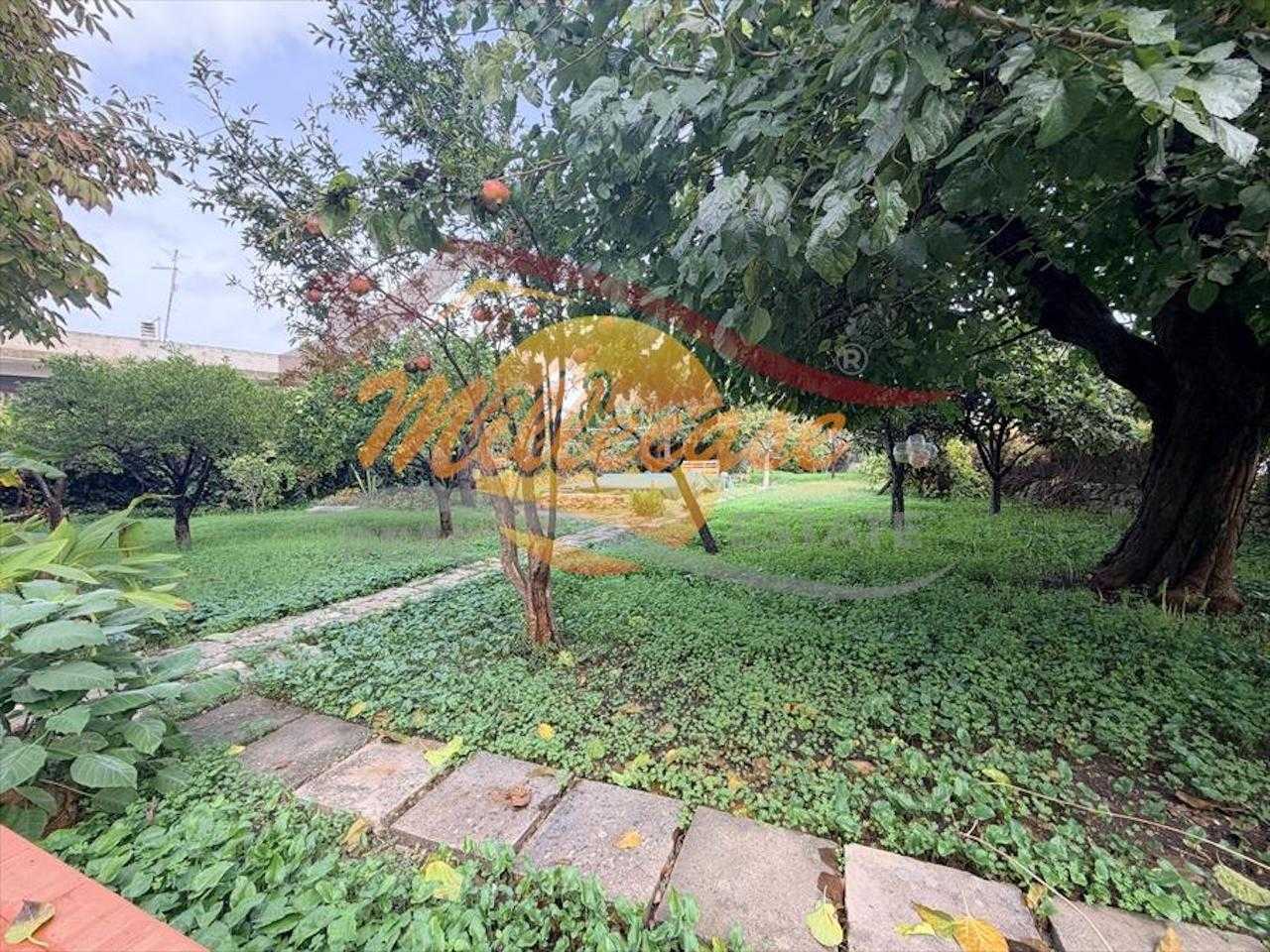  - foto 7