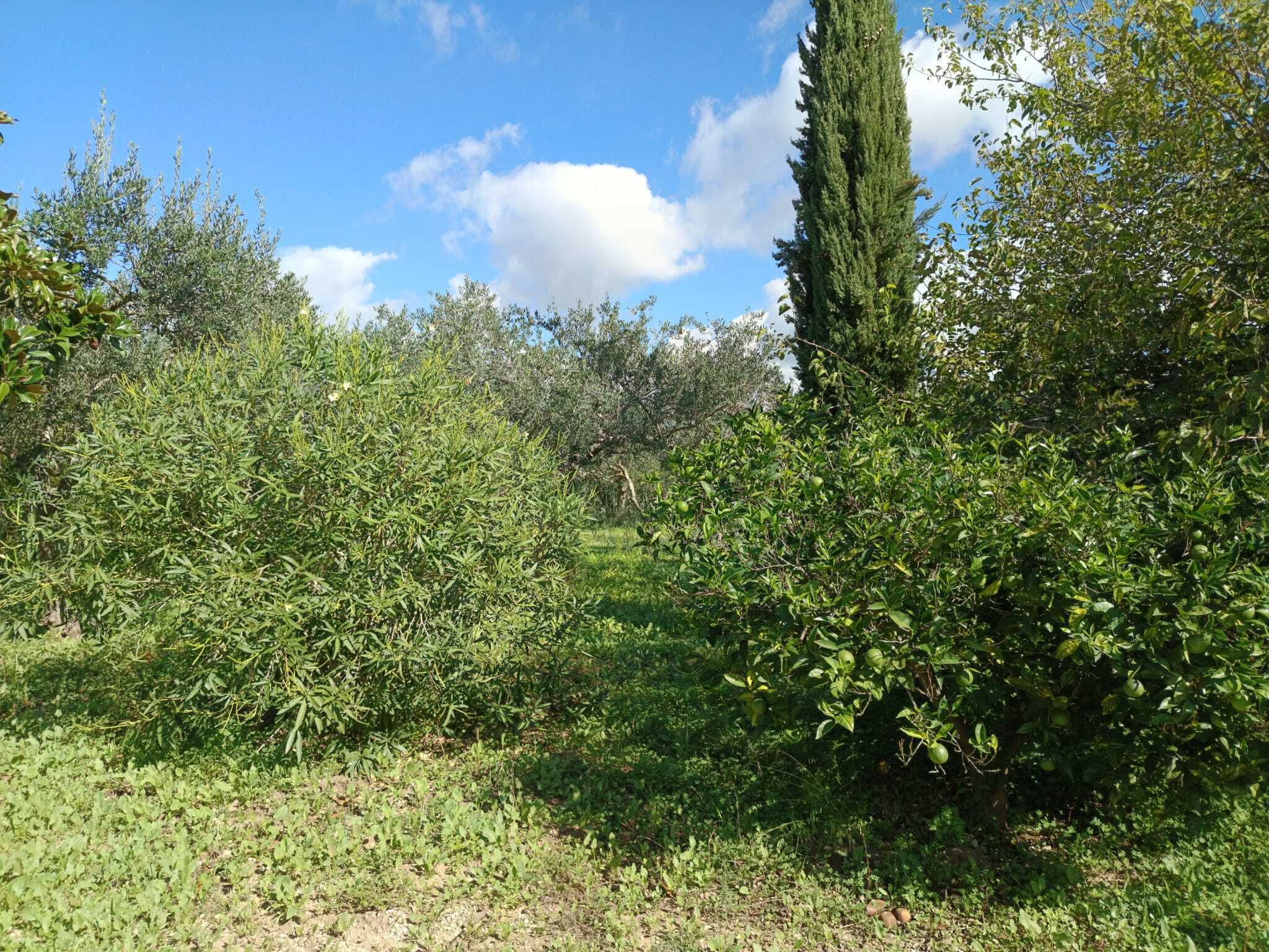  - foto 20