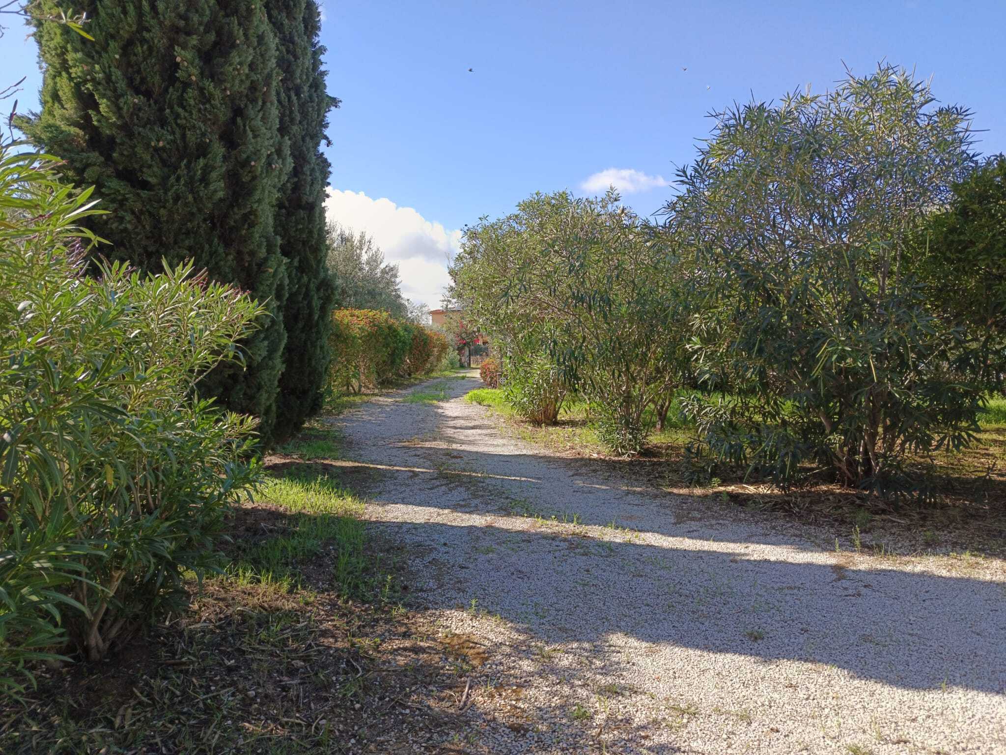  - foto 42
