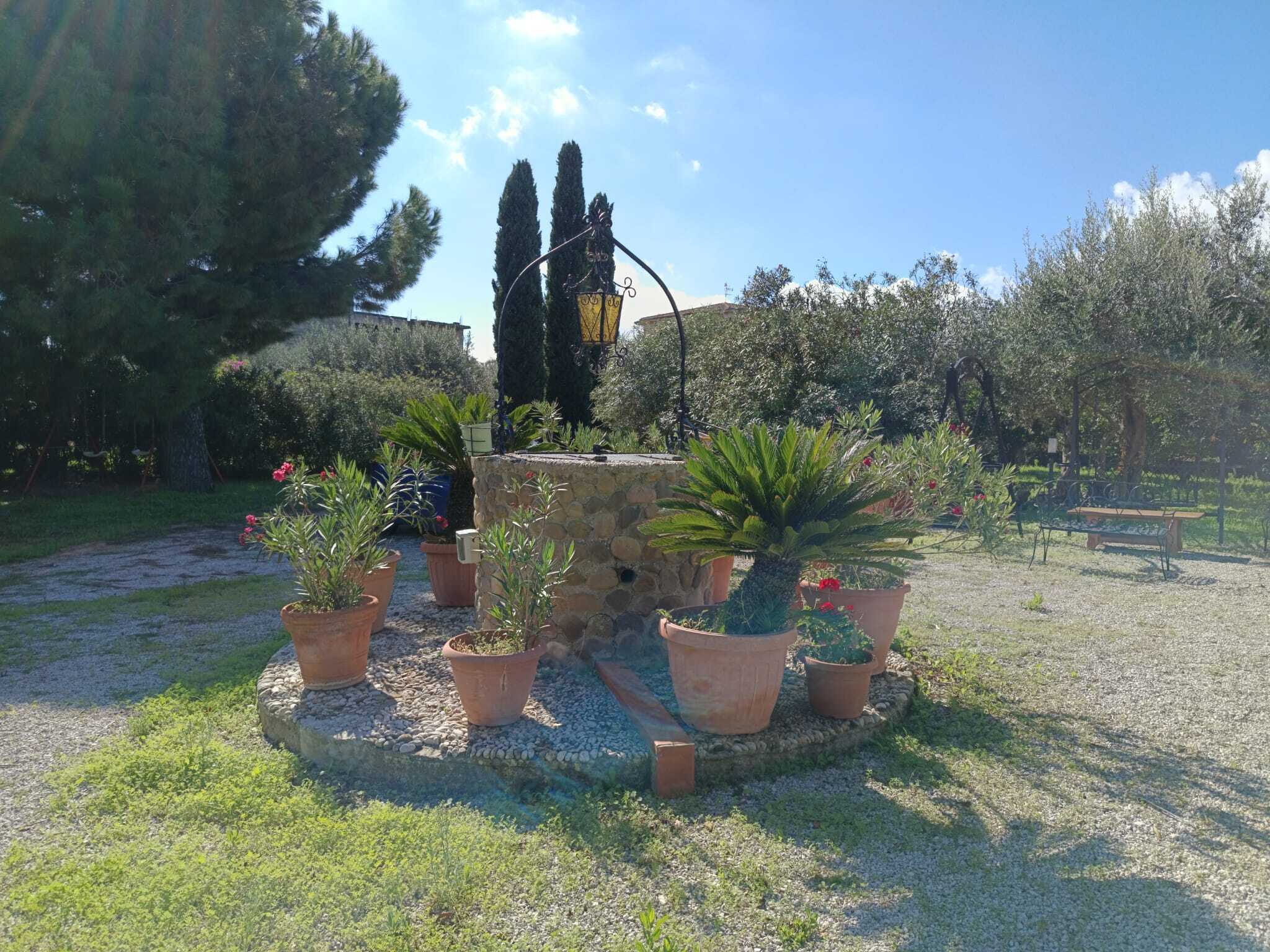  - foto 49