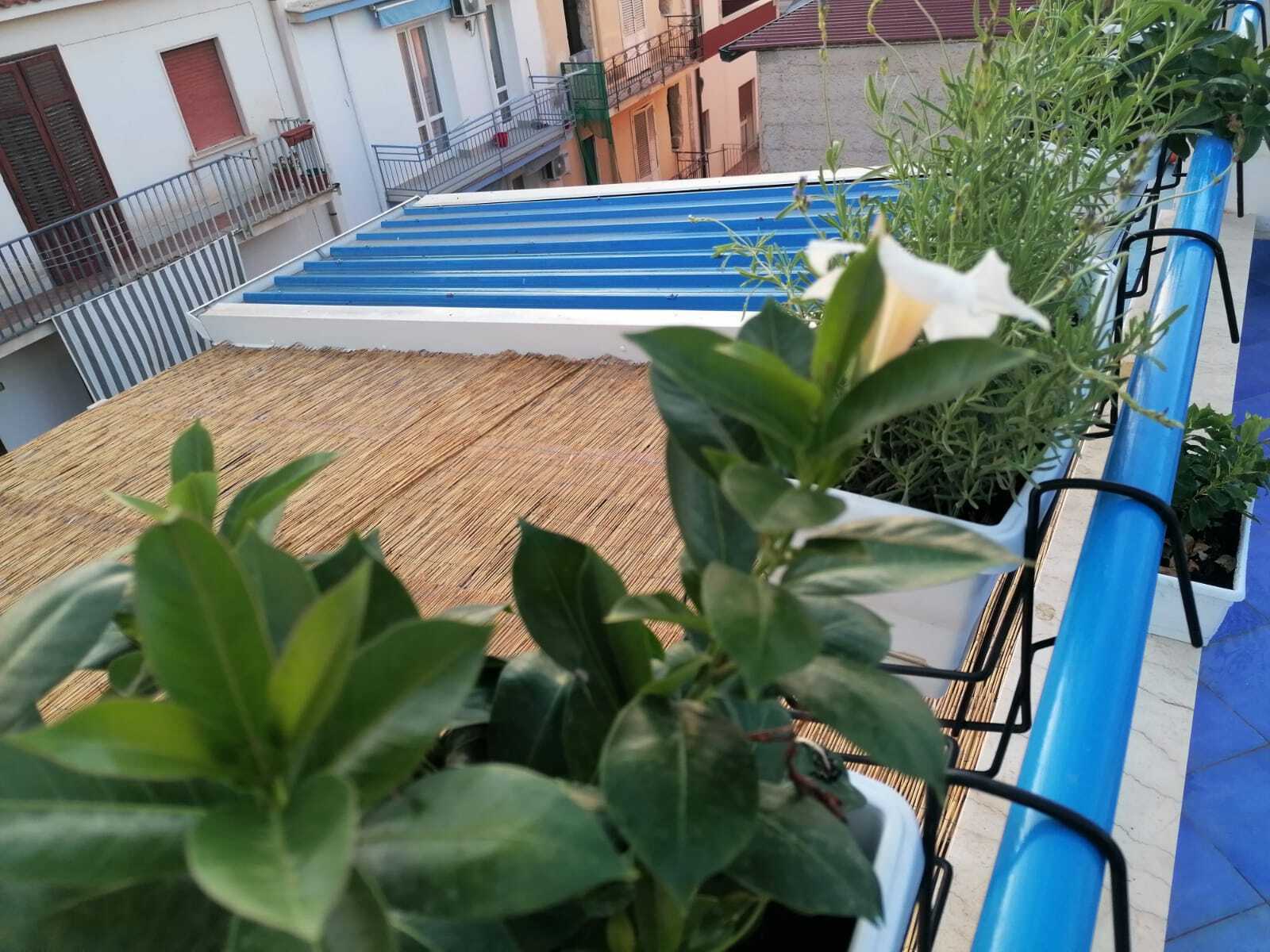  - foto 3