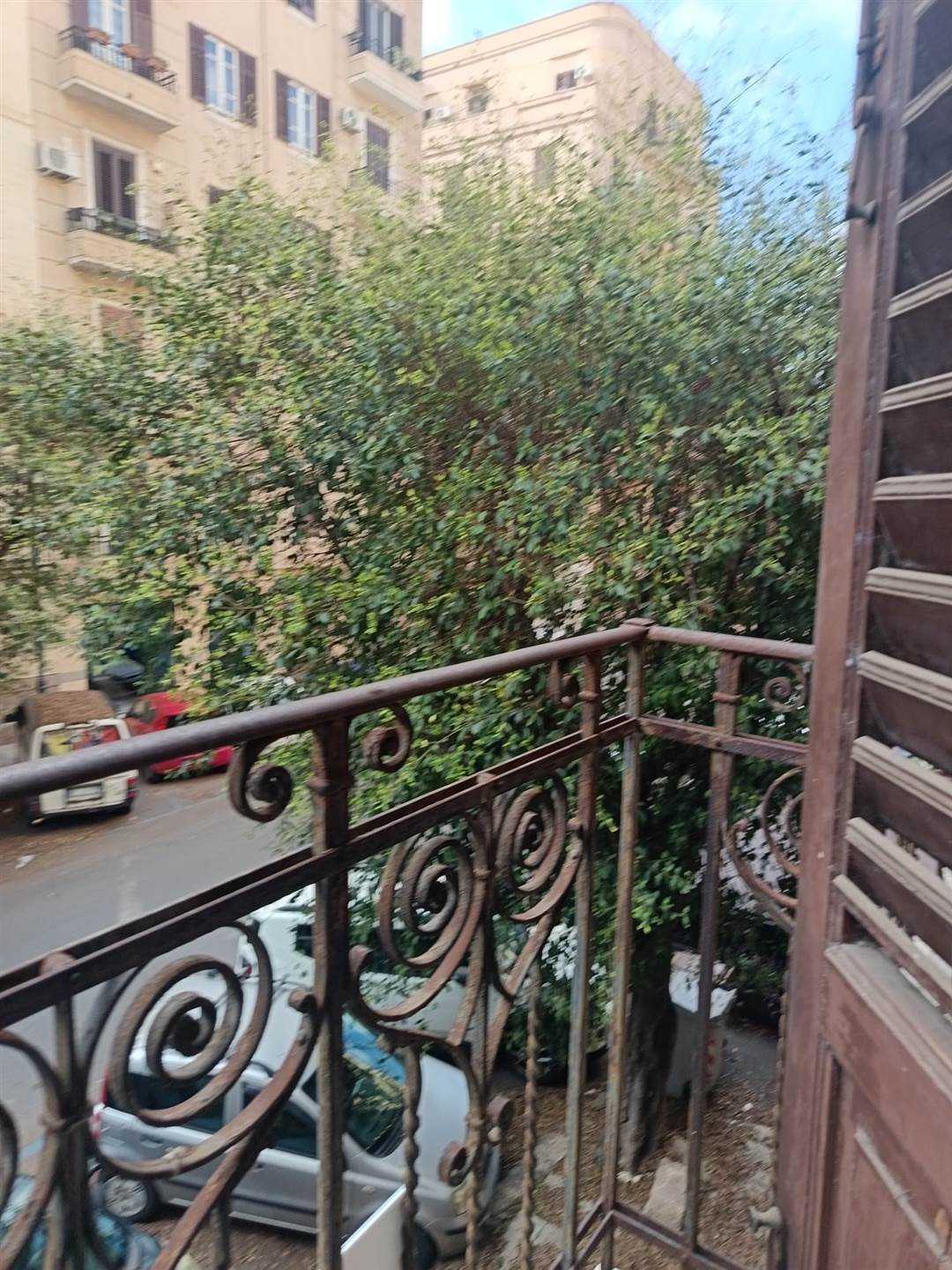  - foto 14