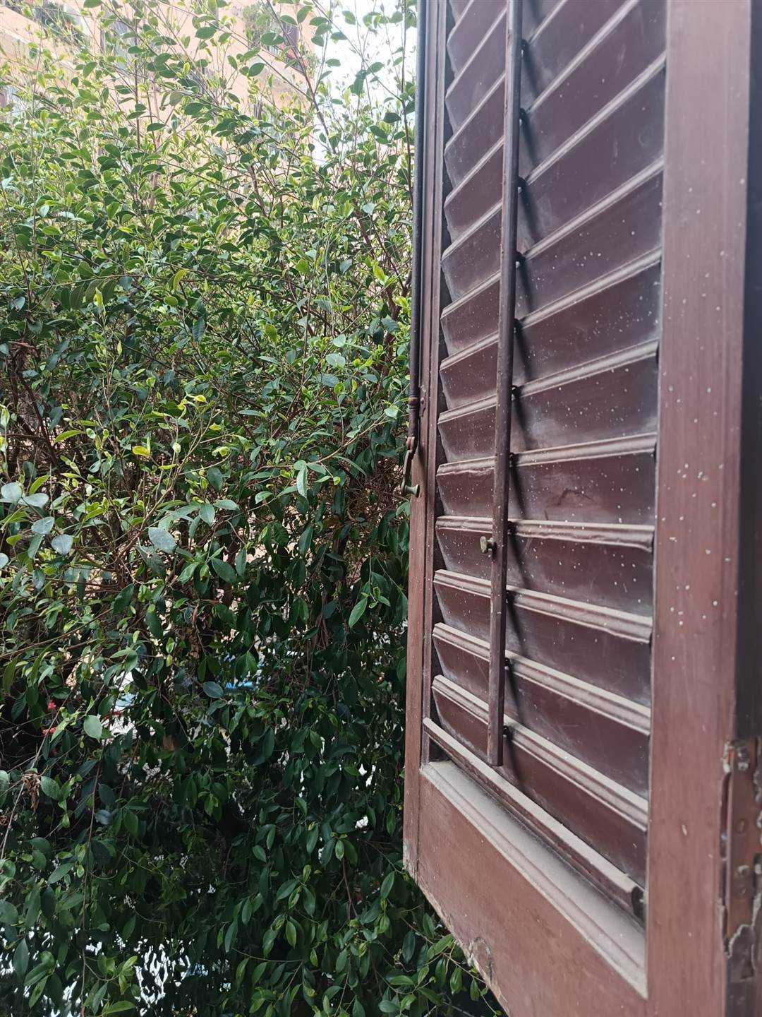  - foto 48