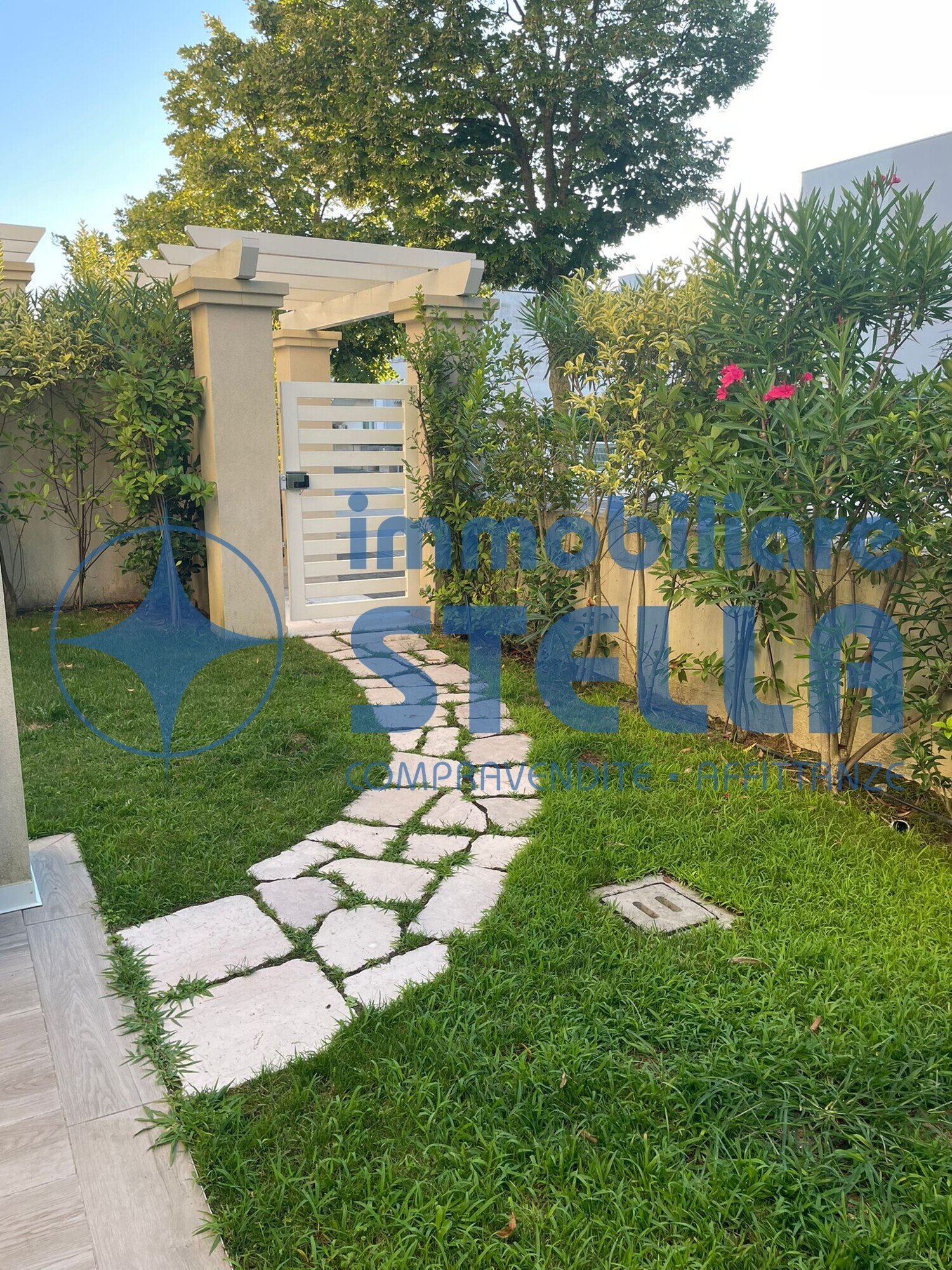  - foto 17