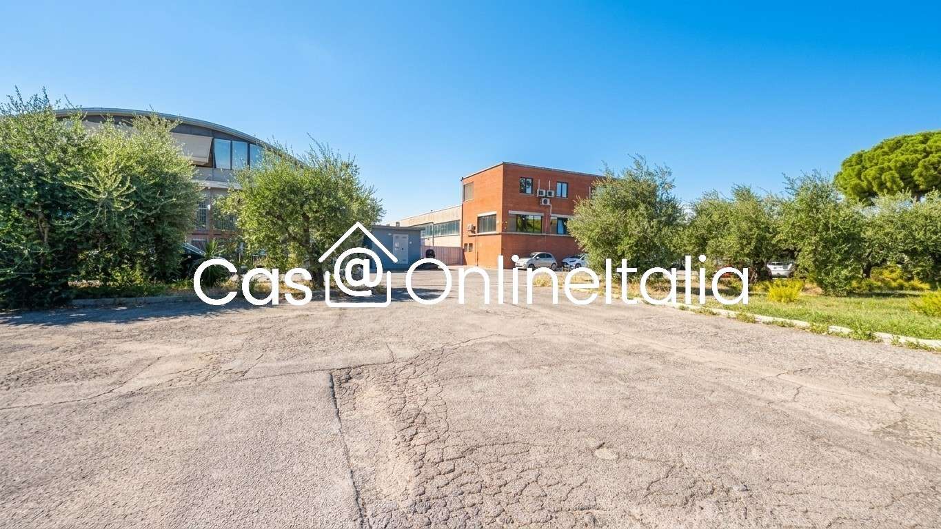  - foto 12