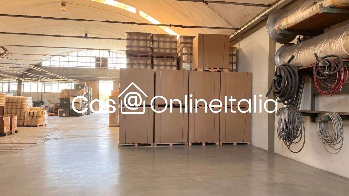  - foto 14