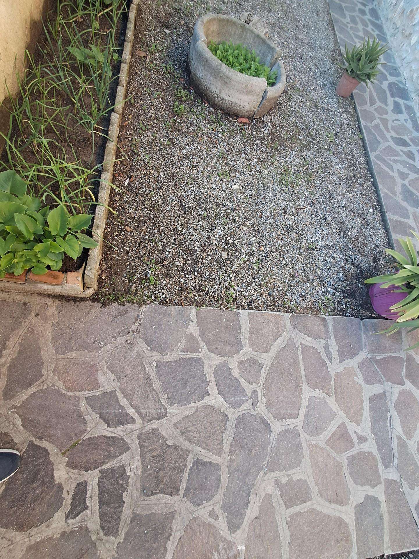  - foto 35