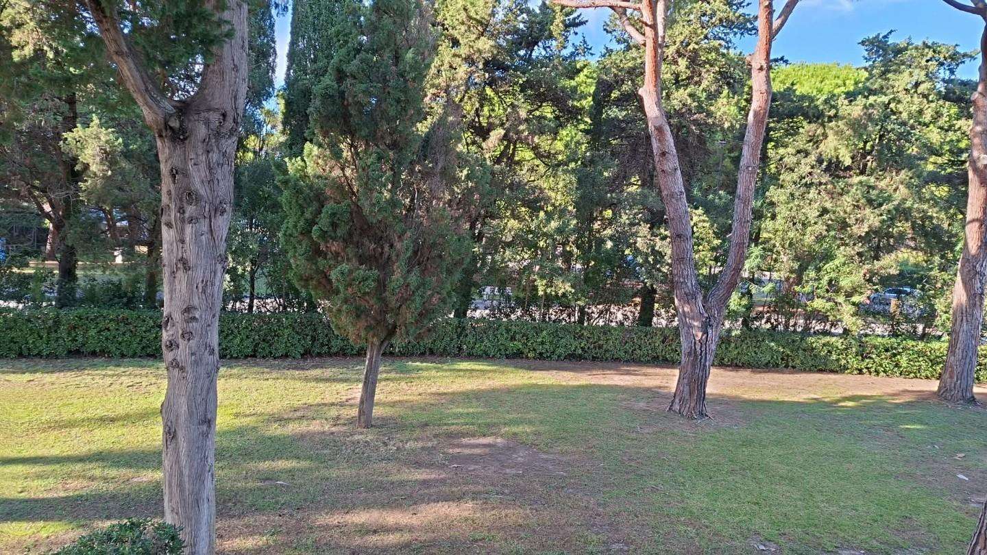  - foto 10
