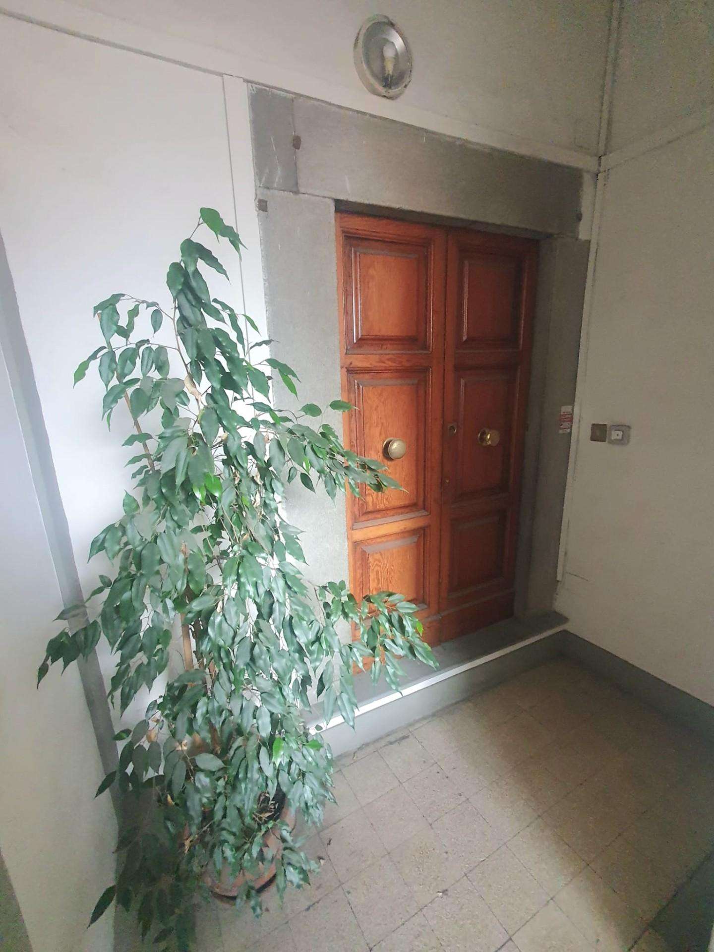  - foto 26