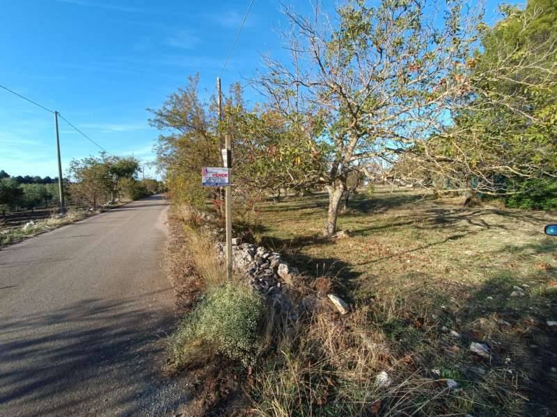  - foto 6