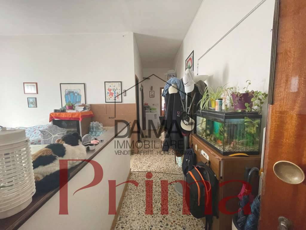  - foto 9