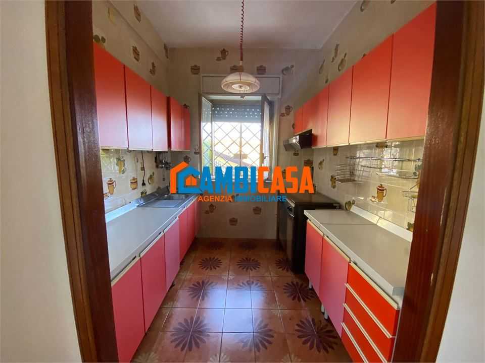  - foto 5