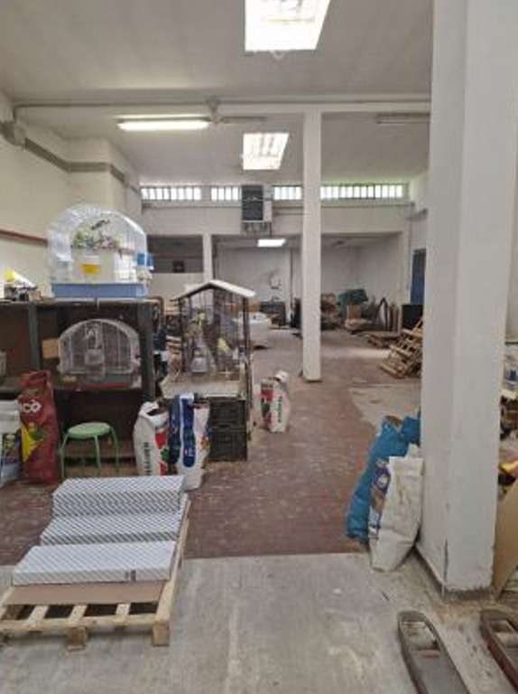  - foto 13
