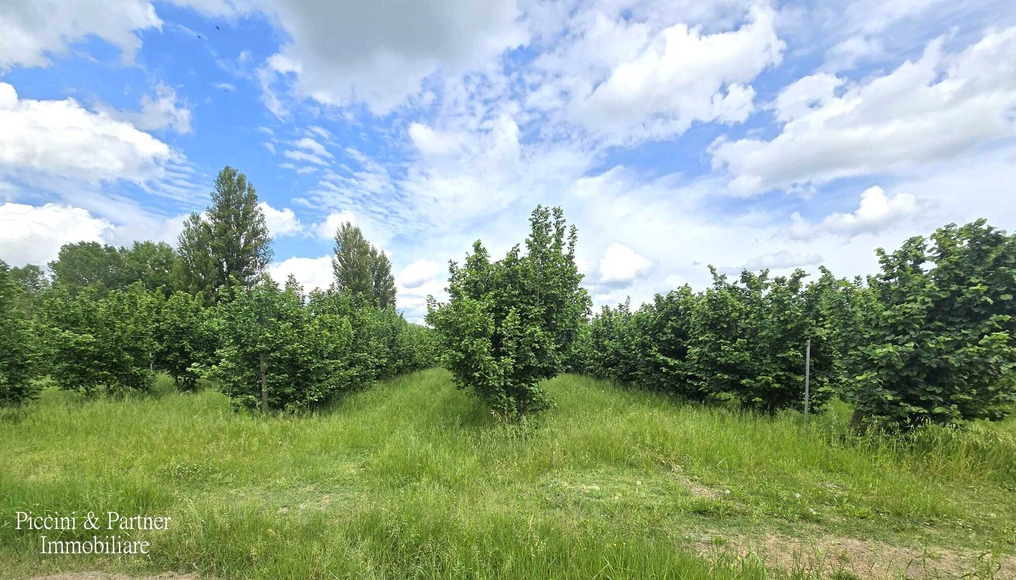  - foto 57